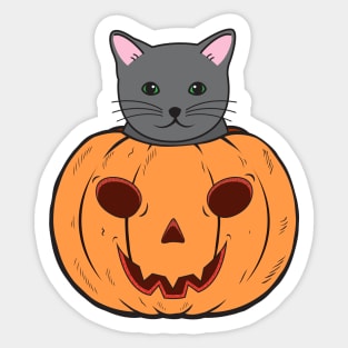 Halloween Cat With Witch Hat Stuck In A Pumpkin Head. Sticker